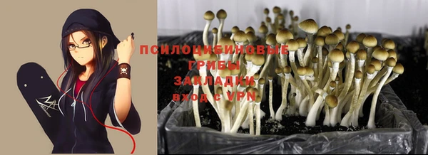 MDMA Козловка