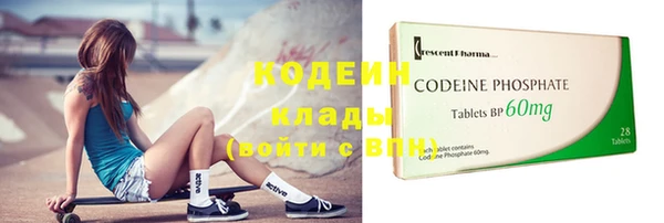 соль ск Козельск