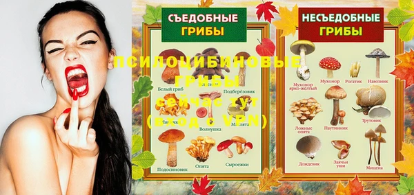 MDMA Козловка