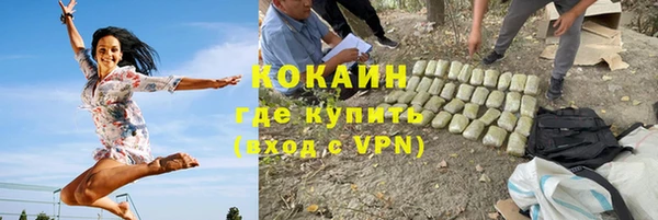 соль ск Козельск