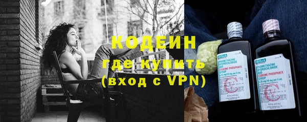 соль ск Козельск